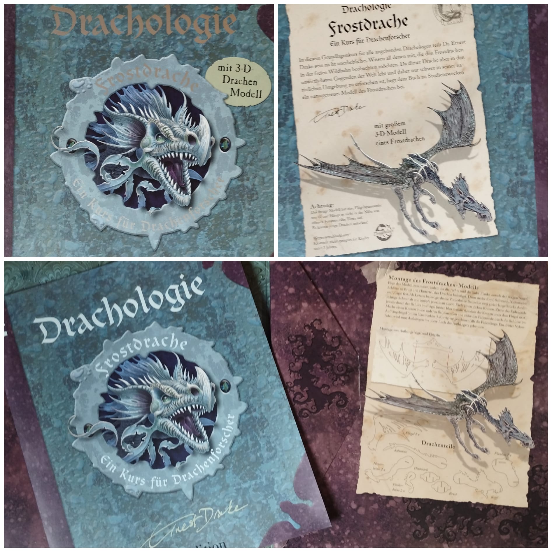 Drachologie Frostdrache: Ein Kurs für Drachenforscher