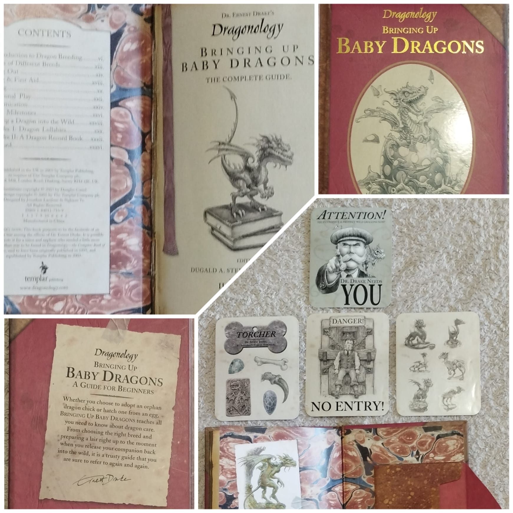 Dragonology Bringing Up Baby Dragons: A Guide for Beginers Templar Publishing